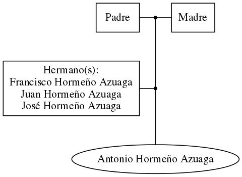 This is a graph with borders and nodes. Maybe there is an Imagemap used so the nodes may be linking to some Pages.