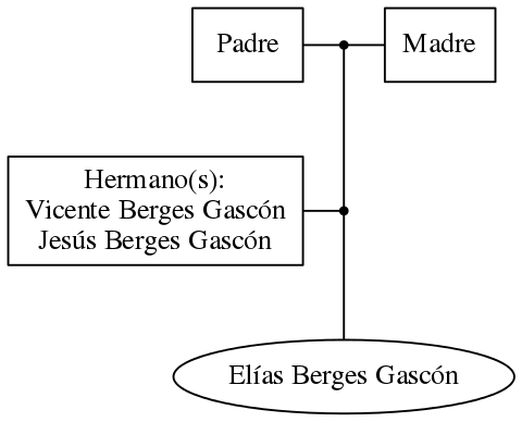 This is a graph with borders and nodes. Maybe there is an Imagemap used so the nodes may be linking to some Pages.