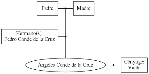 This is a graph with borders and nodes. Maybe there is an Imagemap used so the nodes may be linking to some Pages.