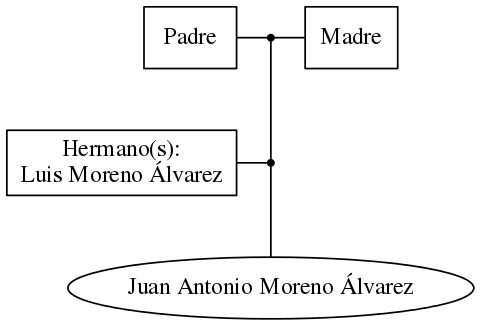 This is a graph with borders and nodes. Maybe there is an Imagemap used so the nodes may be linking to some Pages.