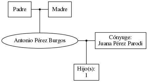 This is a graph with borders and nodes. Maybe there is an Imagemap used so the nodes may be linking to some Pages.