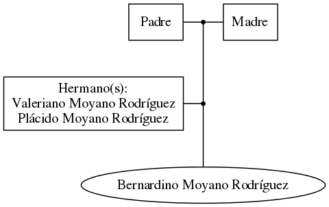 This is a graph with borders and nodes. Maybe there is an Imagemap used so the nodes may be linking to some Pages.