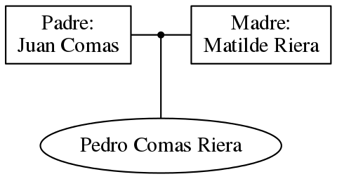 This is a graph with borders and nodes. Maybe there is an Imagemap used so the nodes may be linking to some Pages.