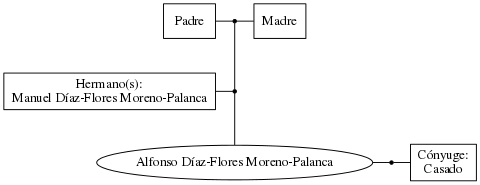 This is a graph with borders and nodes. Maybe there is an Imagemap used so the nodes may be linking to some Pages.