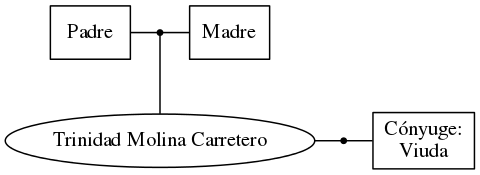 This is a graph with borders and nodes. Maybe there is an Imagemap used so the nodes may be linking to some Pages.