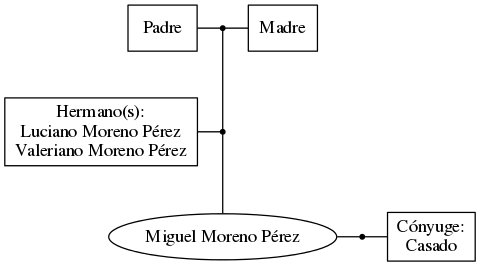 This is a graph with borders and nodes. Maybe there is an Imagemap used so the nodes may be linking to some Pages.