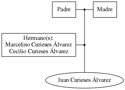 This is a graph with borders and nodes. Maybe there is an Imagemap used so the nodes may be linking to some Pages.