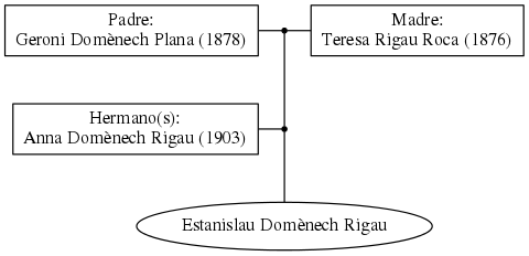 This is a graph with borders and nodes. Maybe there is an Imagemap used so the nodes may be linking to some Pages.