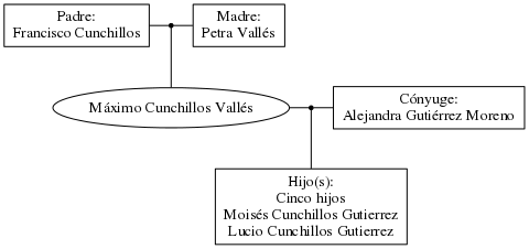 This is a graph with borders and nodes. Maybe there is an Imagemap used so the nodes may be linking to some Pages.