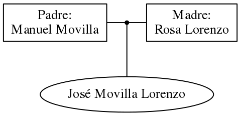 This is a graph with borders and nodes. Maybe there is an Imagemap used so the nodes may be linking to some Pages.