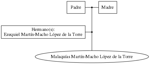 This is a graph with borders and nodes. Maybe there is an Imagemap used so the nodes may be linking to some Pages.