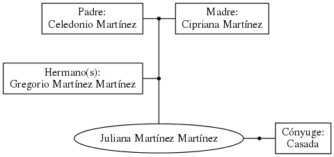 This is a graph with borders and nodes. Maybe there is an Imagemap used so the nodes may be linking to some Pages.