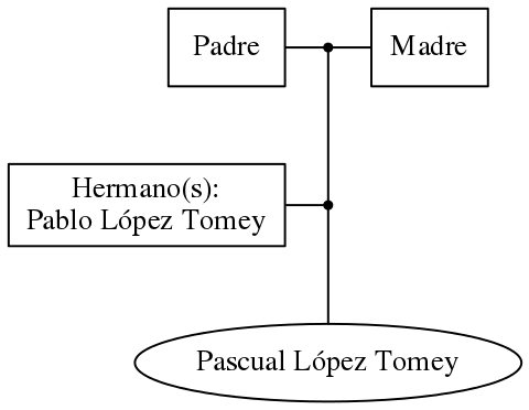 This is a graph with borders and nodes. Maybe there is an Imagemap used so the nodes may be linking to some Pages.