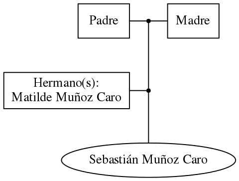 This is a graph with borders and nodes. Maybe there is an Imagemap used so the nodes may be linking to some Pages.