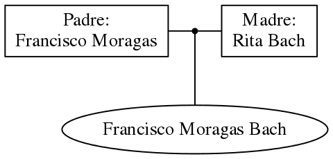 This is a graph with borders and nodes. Maybe there is an Imagemap used so the nodes may be linking to some Pages.