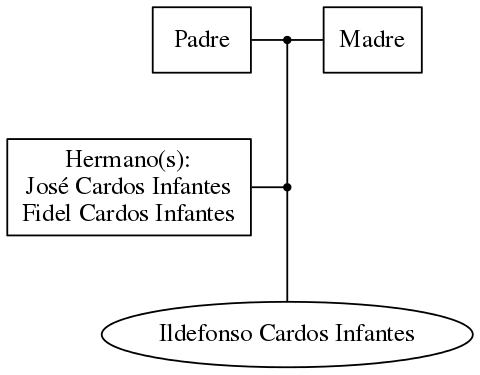 This is a graph with borders and nodes. Maybe there is an Imagemap used so the nodes may be linking to some Pages.