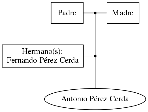 This is a graph with borders and nodes. Maybe there is an Imagemap used so the nodes may be linking to some Pages.