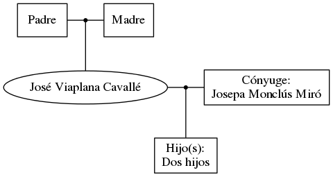 This is a graph with borders and nodes. Maybe there is an Imagemap used so the nodes may be linking to some Pages.