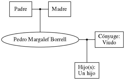 This is a graph with borders and nodes. Maybe there is an Imagemap used so the nodes may be linking to some Pages.