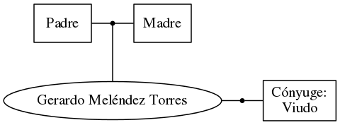 This is a graph with borders and nodes. Maybe there is an Imagemap used so the nodes may be linking to some Pages.