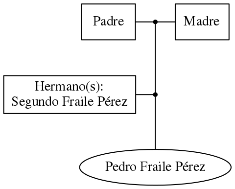 This is a graph with borders and nodes. Maybe there is an Imagemap used so the nodes may be linking to some Pages.