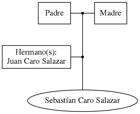 This is a graph with borders and nodes. Maybe there is an Imagemap used so the nodes may be linking to some Pages.