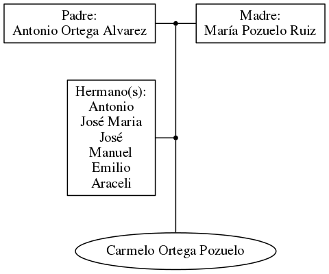 This is a graph with borders and nodes. Maybe there is an Imagemap used so the nodes may be linking to some Pages.