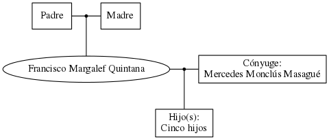 This is a graph with borders and nodes. Maybe there is an Imagemap used so the nodes may be linking to some Pages.