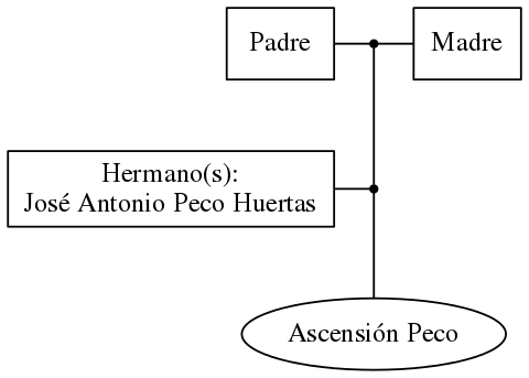 This is a graph with borders and nodes. Maybe there is an Imagemap used so the nodes may be linking to some Pages.