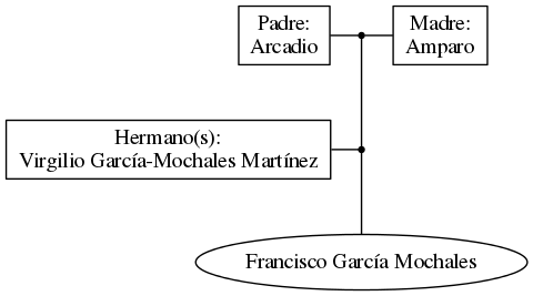 This is a graph with borders and nodes. Maybe there is an Imagemap used so the nodes may be linking to some Pages.