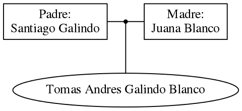 This is a graph with borders and nodes. Maybe there is an Imagemap used so the nodes may be linking to some Pages.