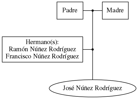 This is a graph with borders and nodes. Maybe there is an Imagemap used so the nodes may be linking to some Pages.