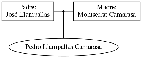 This is a graph with borders and nodes. Maybe there is an Imagemap used so the nodes may be linking to some Pages.