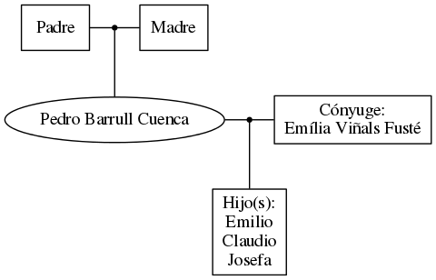 This is a graph with borders and nodes. Maybe there is an Imagemap used so the nodes may be linking to some Pages.