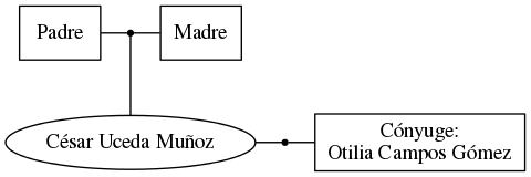 This is a graph with borders and nodes. Maybe there is an Imagemap used so the nodes may be linking to some Pages.