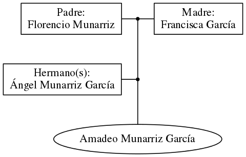 This is a graph with borders and nodes. Maybe there is an Imagemap used so the nodes may be linking to some Pages.