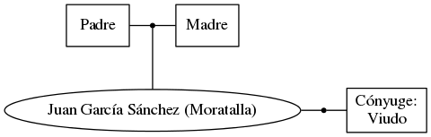 This is a graph with borders and nodes. Maybe there is an Imagemap used so the nodes may be linking to some Pages.