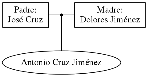 This is a graph with borders and nodes. Maybe there is an Imagemap used so the nodes may be linking to some Pages.