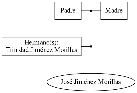 This is a graph with borders and nodes. Maybe there is an Imagemap used so the nodes may be linking to some Pages.