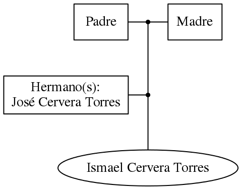 This is a graph with borders and nodes. Maybe there is an Imagemap used so the nodes may be linking to some Pages.