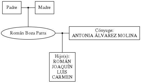 This is a graph with borders and nodes. Maybe there is an Imagemap used so the nodes may be linking to some Pages.