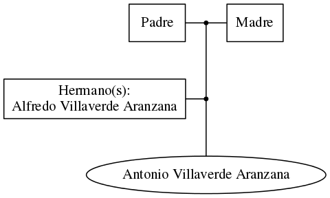 This is a graph with borders and nodes. Maybe there is an Imagemap used so the nodes may be linking to some Pages.