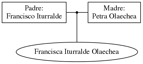 This is a graph with borders and nodes. Maybe there is an Imagemap used so the nodes may be linking to some Pages.