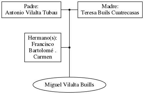 This is a graph with borders and nodes. Maybe there is an Imagemap used so the nodes may be linking to some Pages.