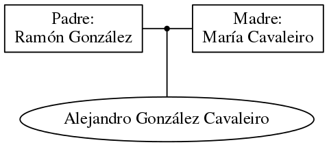 This is a graph with borders and nodes. Maybe there is an Imagemap used so the nodes may be linking to some Pages.