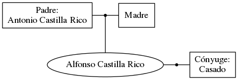 This is a graph with borders and nodes. Maybe there is an Imagemap used so the nodes may be linking to some Pages.