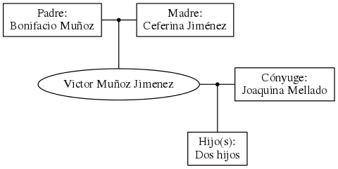 This is a graph with borders and nodes. Maybe there is an Imagemap used so the nodes may be linking to some Pages.