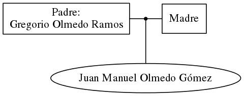 This is a graph with borders and nodes. Maybe there is an Imagemap used so the nodes may be linking to some Pages.