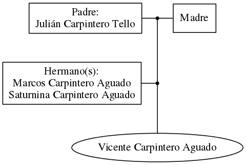 This is a graph with borders and nodes. Maybe there is an Imagemap used so the nodes may be linking to some Pages.