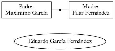 This is a graph with borders and nodes. Maybe there is an Imagemap used so the nodes may be linking to some Pages.